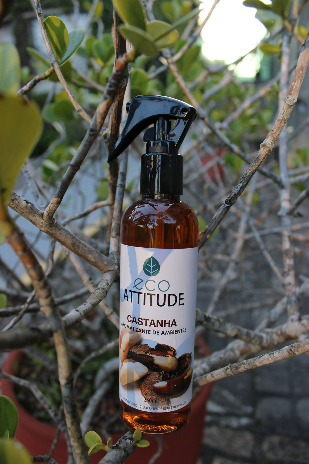 Home Spray Castanha 250ml