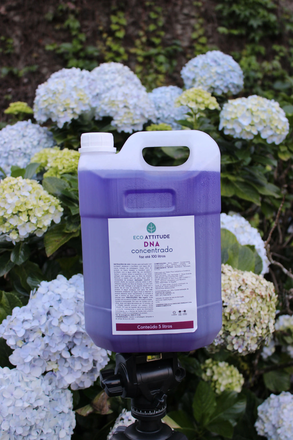 Desinfetante Concentrado 5L